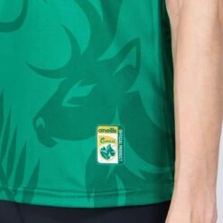 Kerry GAA Women's Fit Home Jersey 2022 12 Kerry GAA Women's Fit Home Jersey 2022 -CASTOR Clothing Shop am3a0759