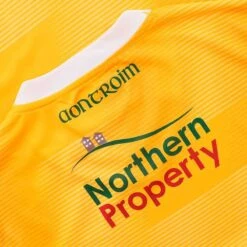 Antrim GAA Women's Fit Home Jersey 2023 17 Antrim GAA Women's Fit Home Jersey 2023 -CASTOR Clothing Shop antrim home jersey 3s amb whi adlt p6 3