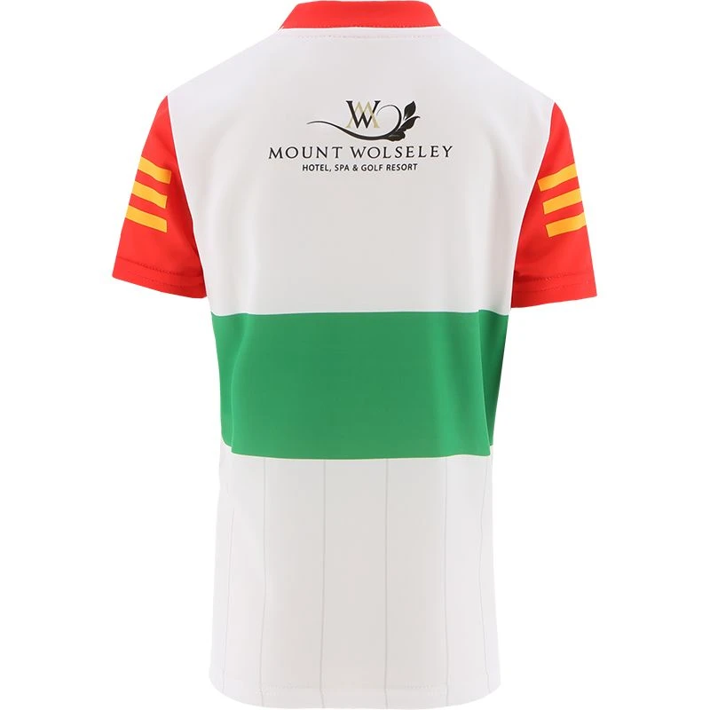 Carlow GAA Kids' Goalkeeper Jersey 2022 4 Carlow GAA Kids' Goalkeeper Jersey 2022 - Image 2