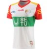 Carlow GAA Women's Fit Goalkeeper Jersey 2022 -CASTOR Clothing Shop carlow gk jersey 22 wmns 3s 1