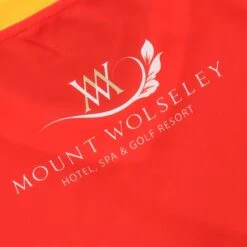 Carlow GAA Women's Fit Home Jersey 2022 -CASTOR Clothing Shop carlow home reg fit jersey 22 6 4