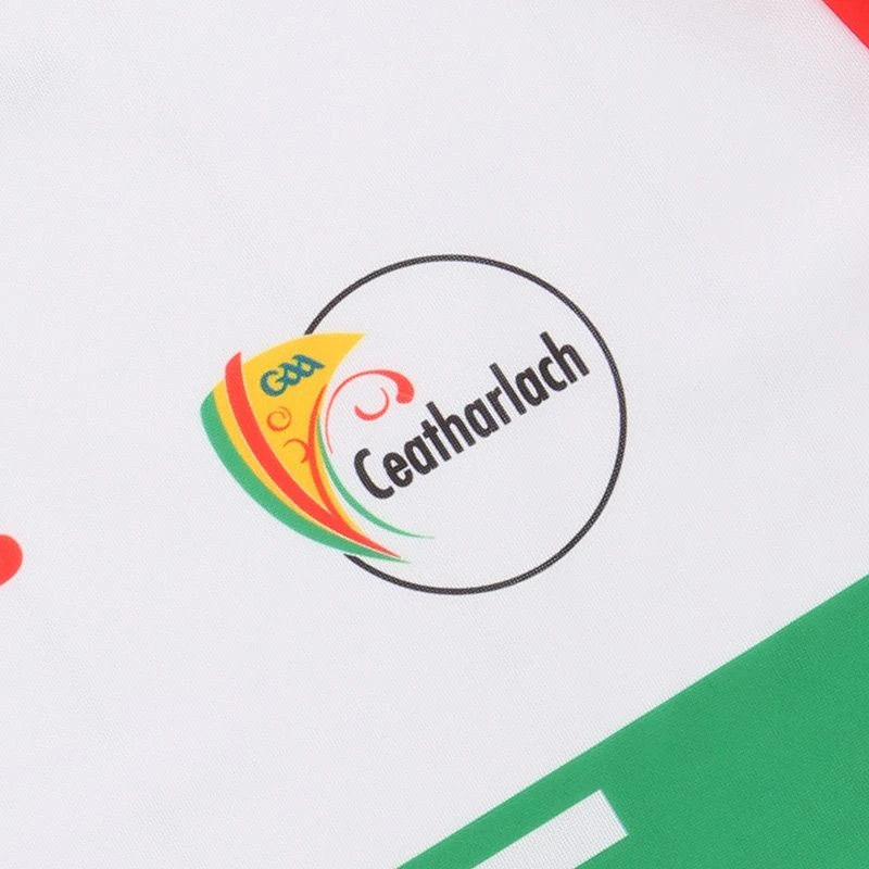 Carlow GAA Kids' Goalkeeper Jersey 2022 5 Carlow GAA Kids' Goalkeeper Jersey 2022 - Image 3