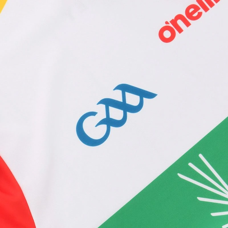Carlow GAA Kids' Goalkeeper Jersey 2022 6 Carlow GAA Kids' Goalkeeper Jersey 2022 - Image 4