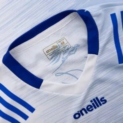 Cavan GAA Women's Fit Goalkeeper Jersey 2023 -CASTOR Clothing Shop cavan tf alt jersey 3s adlt p10 2