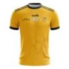 Central Coast Women's Fit 40th Anniversary Short Sleeve Training Top (Amber) -CASTOR Clothing Shop central coast gaa training jersey v5 amb 3d 1
