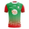 Clann Na HOman Women's Fit LGFA Jersey (Green) -CASTOR Clothing Shop clannnahoman 3d lgfa jersey green front