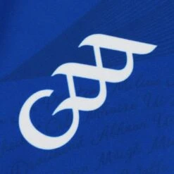 Clare GAA Kids' Alternative Goalkeeper Jersey 2023 15 Clare GAA Kids' Alternative Goalkeeper Jersey 2023 -CASTOR Clothing Shop clare alt gk jersey royal 3s p5 2