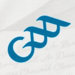 Clare GAA Alternative Goalkeeper Jersey White 2023 -CASTOR Clothing Shop clare alt gk jersey white tf 3s p5 7