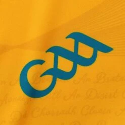 Clare GAA Women's Fit Home Jersey 2023 -CASTOR Clothing Shop clare home jersey amber roy wht 3s p 5 3 1