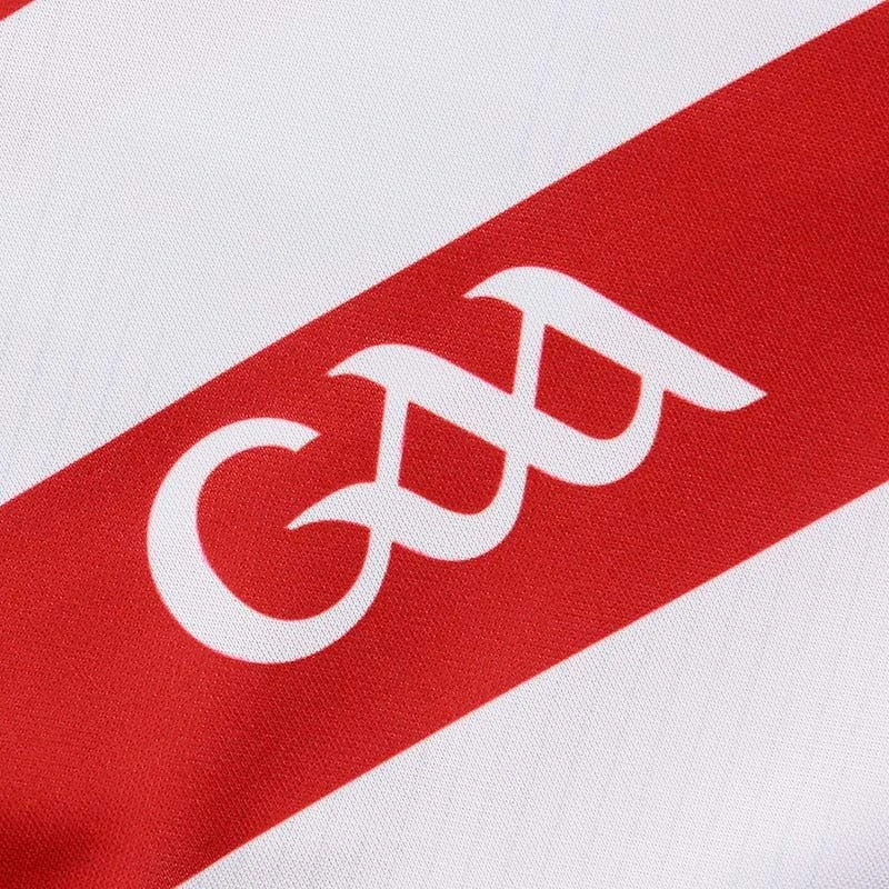 Cork GAA Goalkeeper Jersey 2023 8 Cork GAA Goalkeeper Jersey 2023 - Image 7