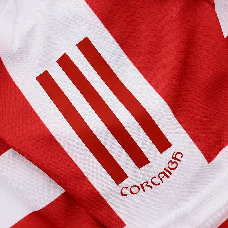 Cork GAA Goalkeeper Jersey 2023 10 Cork GAA Goalkeeper Jersey 2023 - Image 9