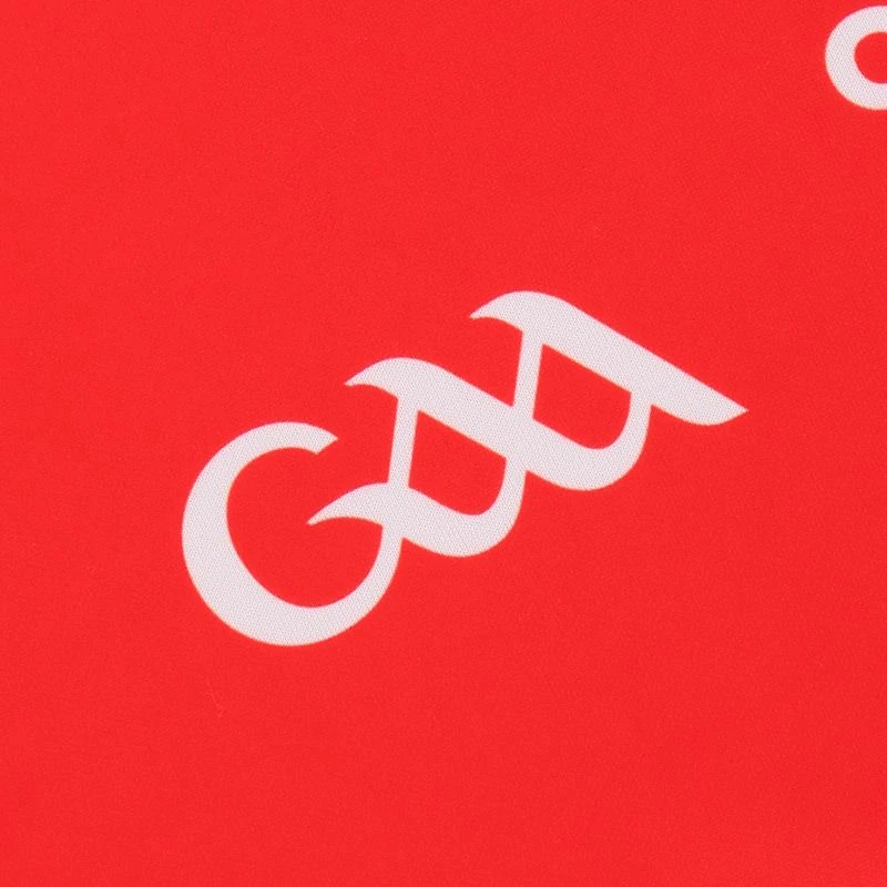 Derry GAA Kids' Away Jersey 2022 7 Derry GAA Kids' Away Jersey 2022 - Image 5