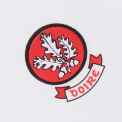 Derry GAA Kids' Home Jersey 2022 -CASTOR Clothing Shop derry home reg fit jersey 2022 3 3