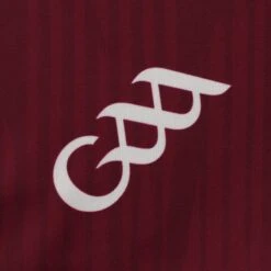 Galway GAA Player Fit Home Jersey 2023 -CASTOR Clothing Shop galway home jersey maroon wht p 5 11