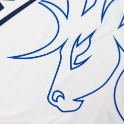 Kerry GAA Away Goalkeeper Jersey 2023 -CASTOR Clothing Shop kerry alt gk jersey 2023 wht mar roy 3s tf p9 3