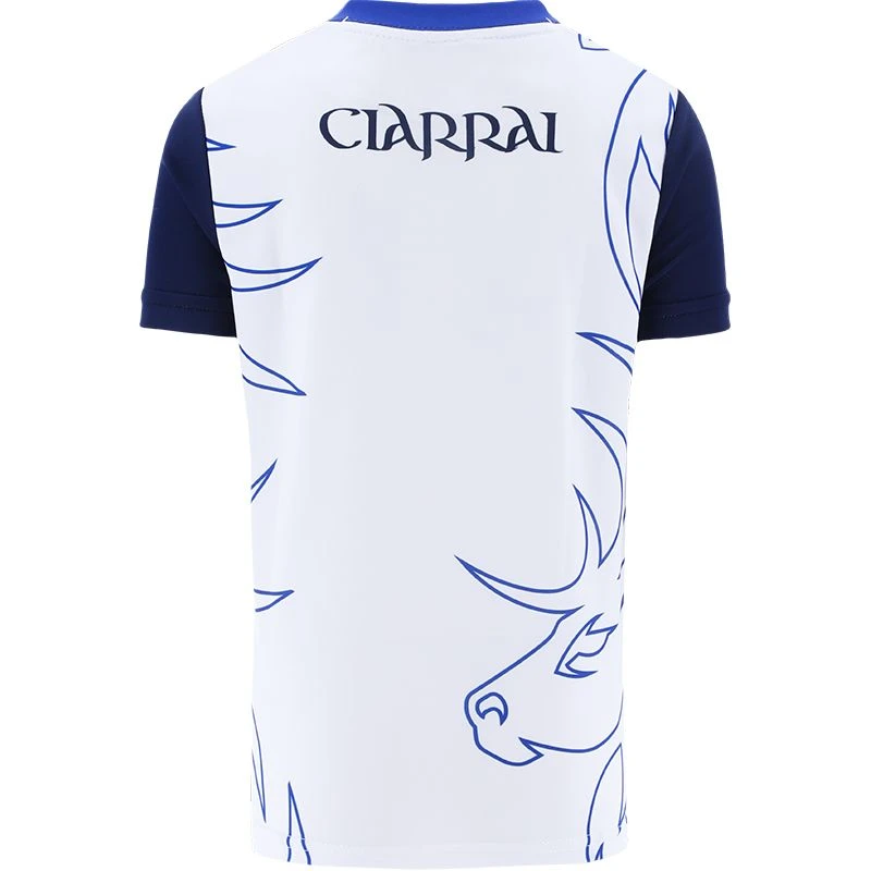 Kerry GAA Kids' Away Goalkeeper Jersey 2023 4 Kerry GAA Kids' Away Goalkeeper Jersey 2023 - Image 2