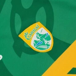 Kerry GAA Player Fit Home Jersey 2022 -CASTOR Clothing Shop kerry home jersey 2022 3 4