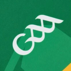 Kerry GAA Player Fit Home Jersey 2022 -CASTOR Clothing Shop kerry home jersey 2022 4 4