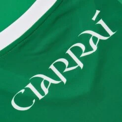 Kerry GAA Player Fit Home Jersey 2022 -CASTOR Clothing Shop kerry home jersey 2022 7 4