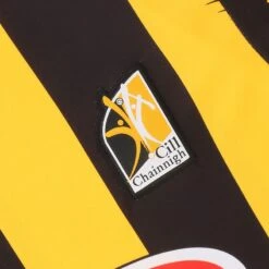 Kilkenny GAA Home Jersey 2022 -CASTOR Clothing Shop kilkenny home tf jersey 22 3s 3 2 1