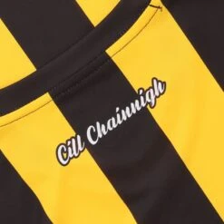 Kilkenny GAA Home Jersey 2022 -CASTOR Clothing Shop kilkenny home tf jersey 22 3s 6 2 1