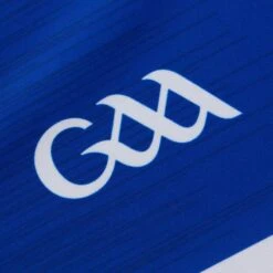 Laois GAA Women's Fit Home Jersey 2023 -CASTOR Clothing Shop laois home jersey 3s roy whi p9 3