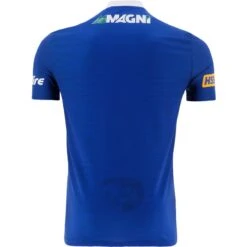 Laois GAA Player Fit Home Jersey 2023 -CASTOR Clothing Shop laois home jersey tf 3s roy whi p2