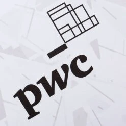 PwC All-Stars Women's Fit GAA Jersey White -CASTOR Clothing Shop pwc allstars tf 3s whi org adlt p4 2