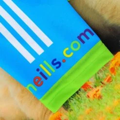 Men's Pawsitivity Ploughing Championships Jersey 13 Men's Pawsitivity Ploughing Championships Jersey -CASTOR Clothing Shop show j01 3 gen gnblxx kids p6