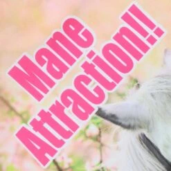 Women's Mane Attraction Ploughing Championships Jersey -CASTOR Clothing Shop show j01 3 gen mumane kids p5 1