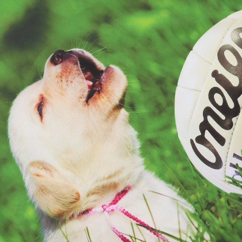 Kids' Gooooal Ploughing Championships Jersey 6 Kids' Gooooal Ploughing Championships Jersey - Image 4