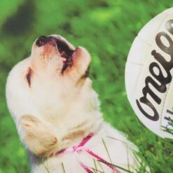 Women's Gooooal Ploughing Championships Jersey -CASTOR Clothing Shop show j01 3 gen pkgoal kids p4 1