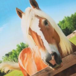 Kids' Who's Horse Is That Ploughing Championships Jersey -CASTOR Clothing Shop show j01 3 gen skywhit kids p3