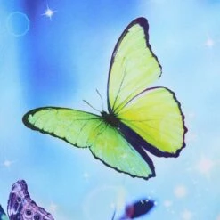 Kids' Enchanted Ploughing Championships Jersey -CASTOR Clothing Shop show jersey enchanted p7