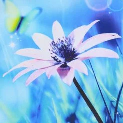 Kids' Enchanted Ploughing Championships Jersey -CASTOR Clothing Shop show jersey enchanted p8