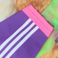 Women's Purple Rein Ploughing Championships Jersey -CASTOR Clothing Shop show jo1 3 gen pppurp kids p7 1